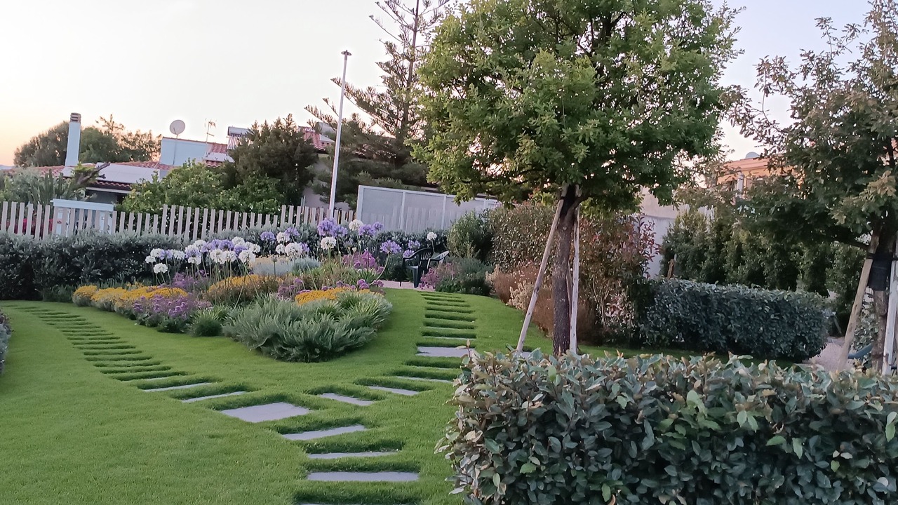 Photo of Outdoor in Capitana