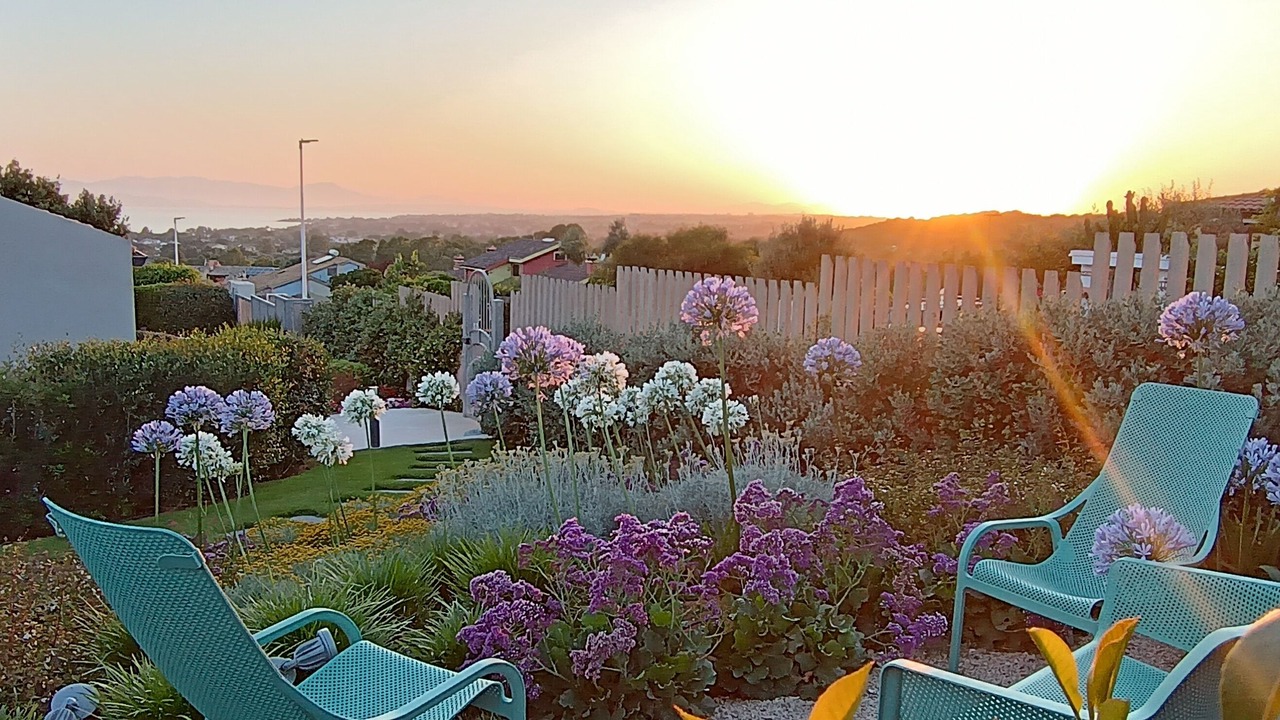 Photo of Outdoor in Capitana