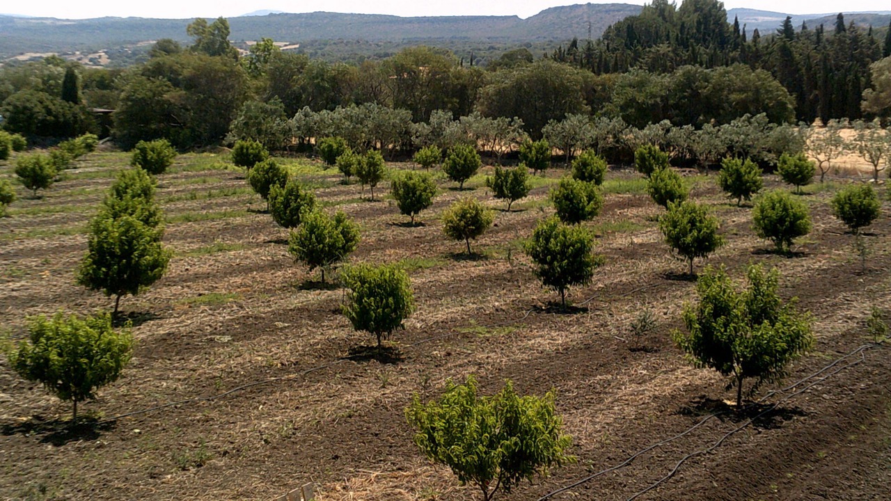 Photo of Outdoor in Alghero