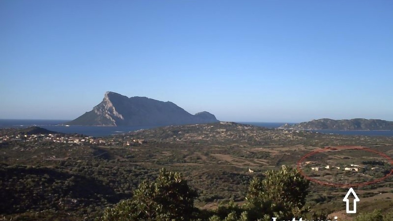 Photo of Others in San Teodoro