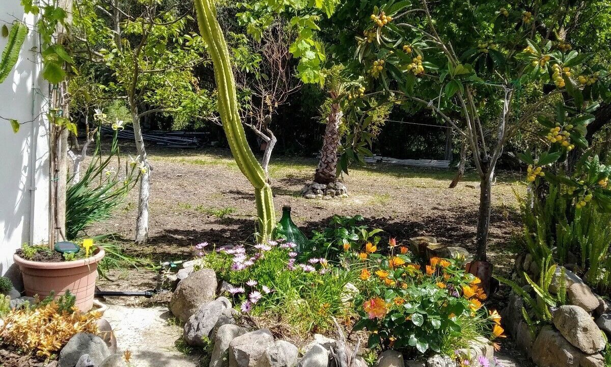 Photo of Outdoor in Sennori