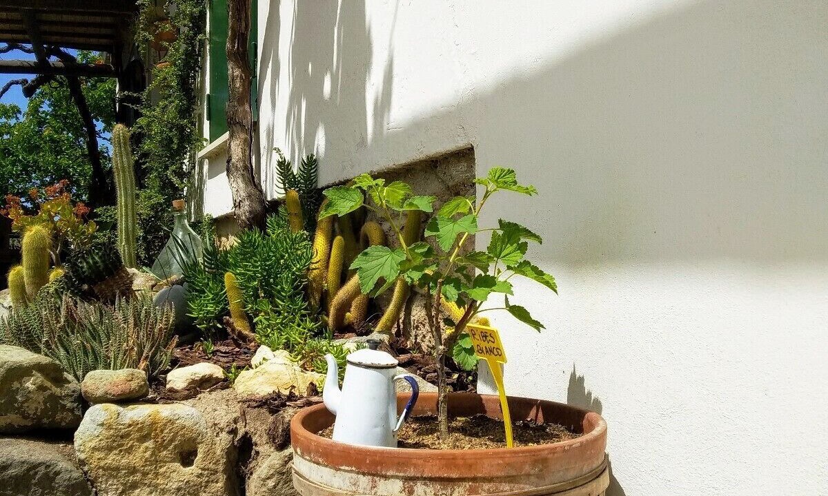 Photo of Outdoor in Sennori