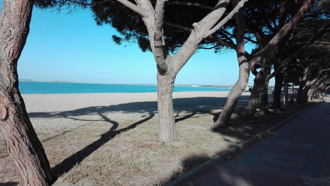 Photo of Others in Cabras