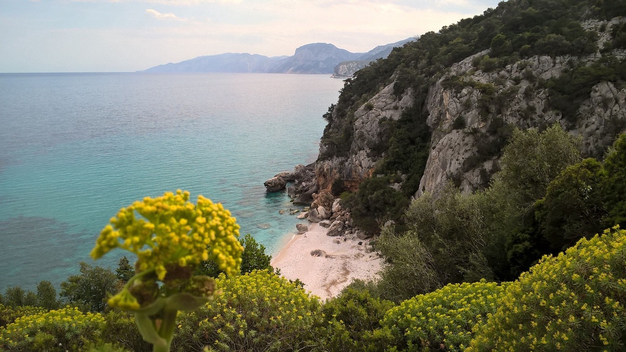 Photo of Others in Cala Gonone
