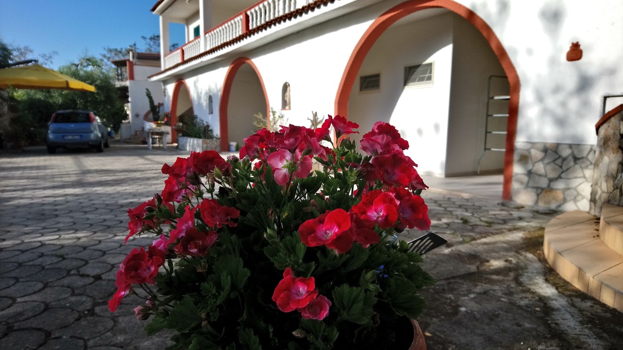 Photo of Outdoor in Peschici