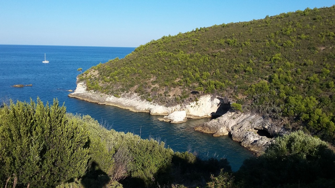 Photo of Others in Peschici