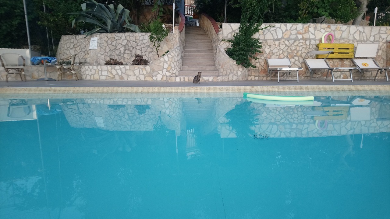 Photo of Outdoor in Peschici