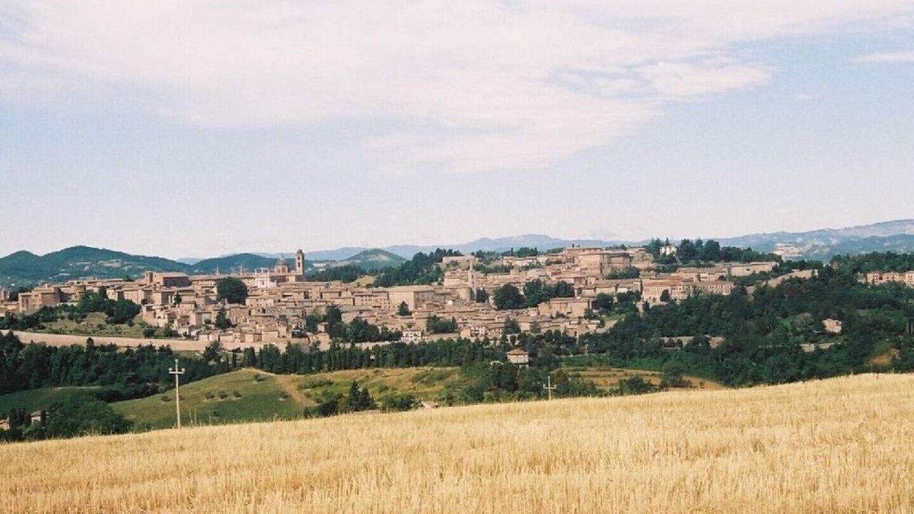 Photo of Others in Urbino