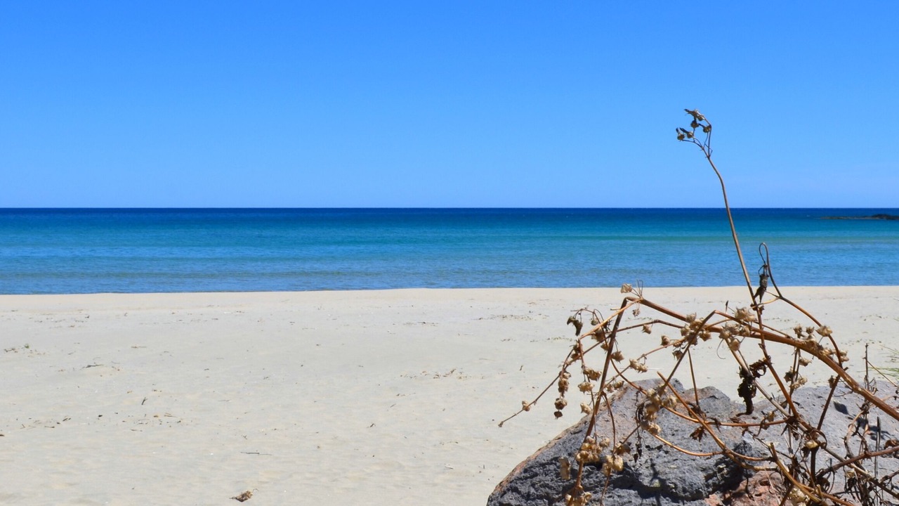 Photo of Others in Cala Gonone