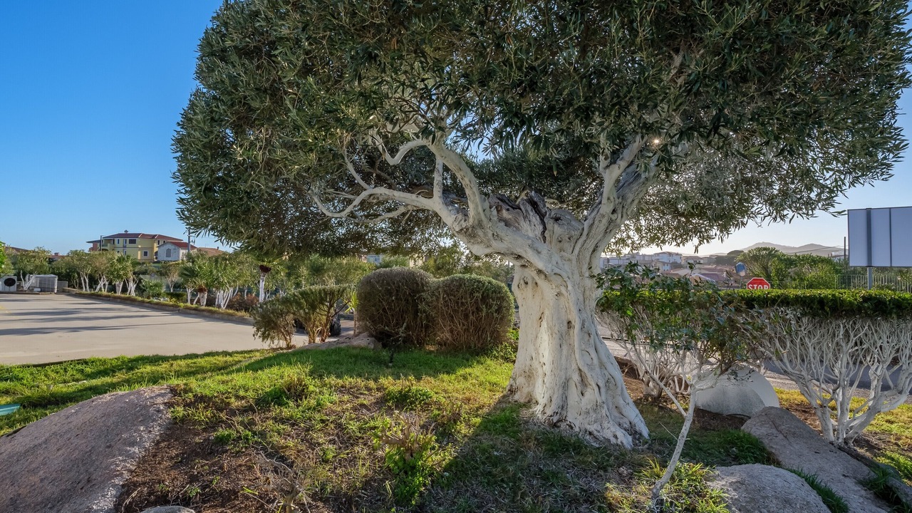 Photo of Outdoor in Golfo Aranci