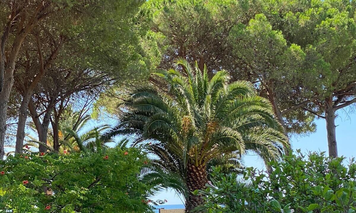 Photo of Outdoor in Capitana