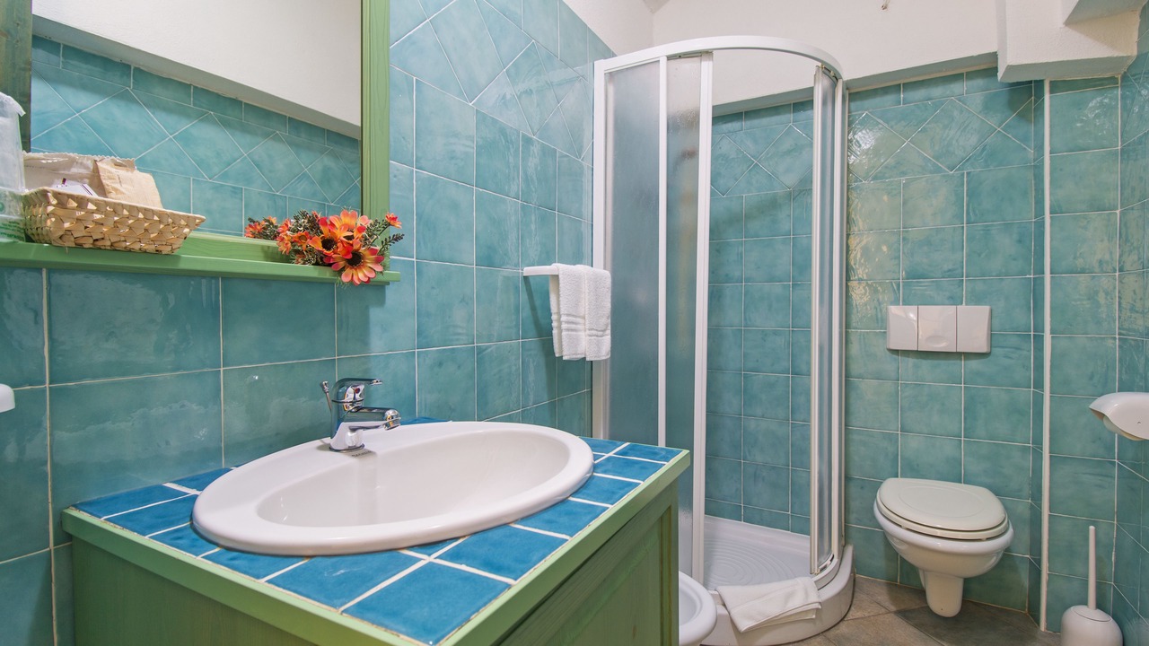 Photo of Bathroom in Sos Alinos