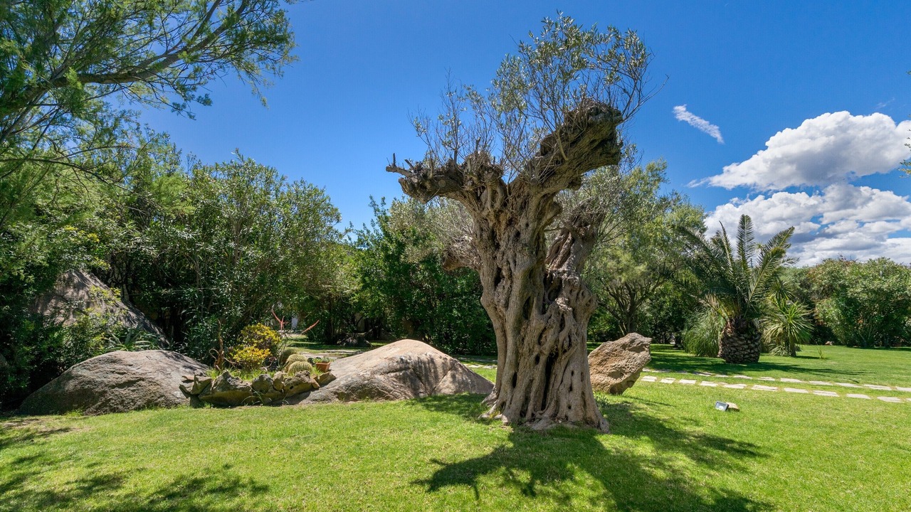 Photo of Outdoor in Porto Rotondo