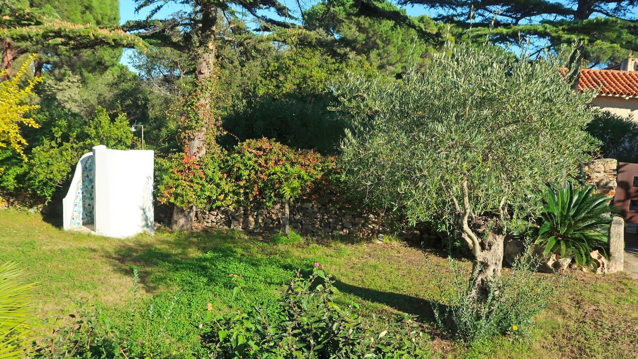 Photo of Outdoor in Puntaldia