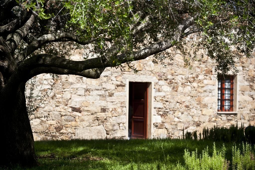 Photo of Outdoor in Luddui
