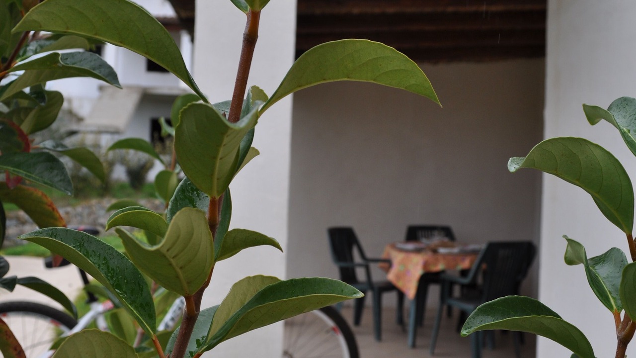 Photo of Outdoor in Torre di Bari