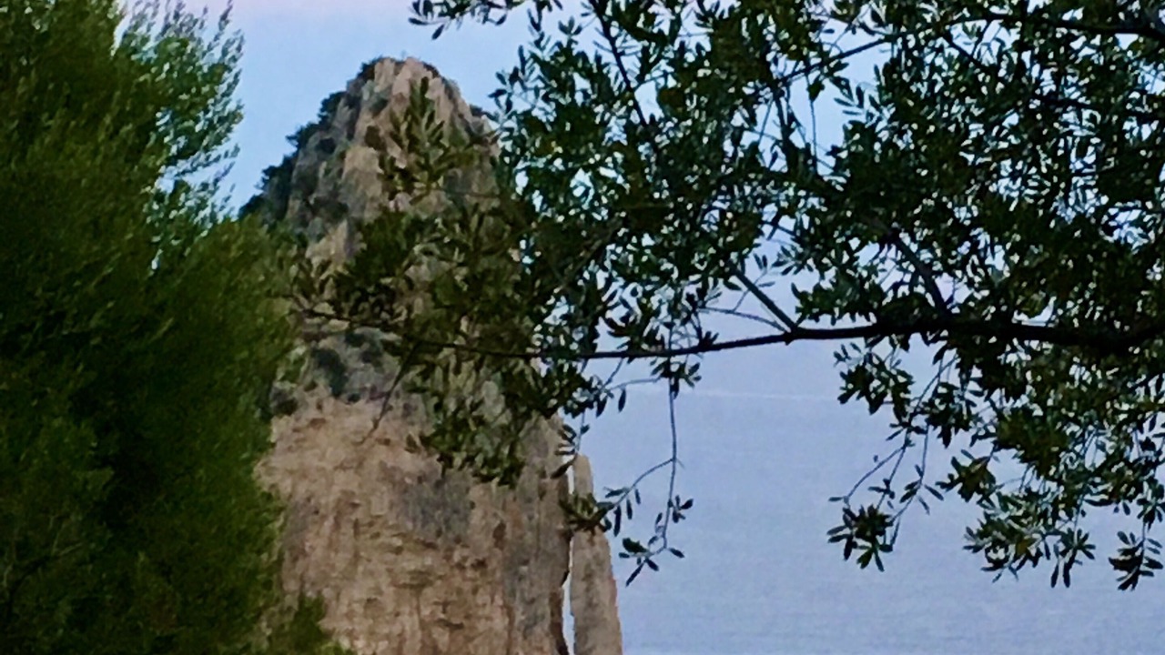 Photo of Others in Santa Maria Navarrese