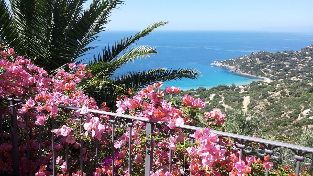 Photo of Outdoor in Solanas