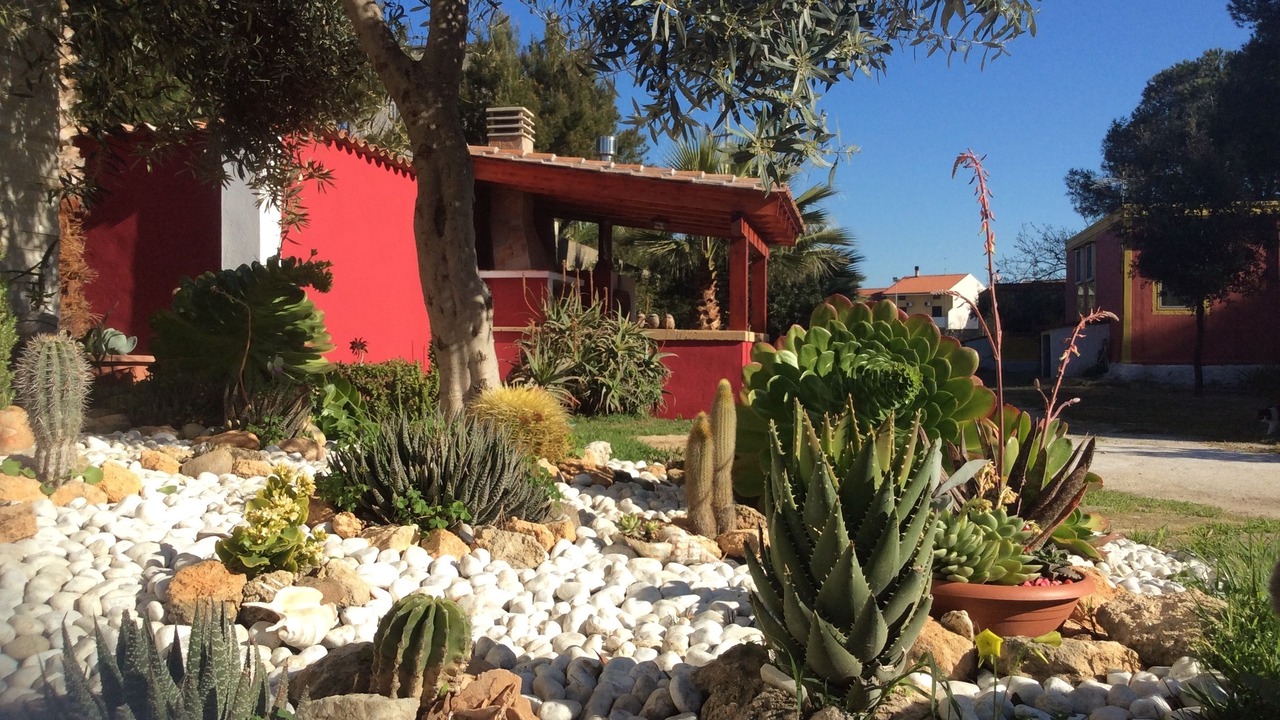 Photo of Outdoor in Cabras
