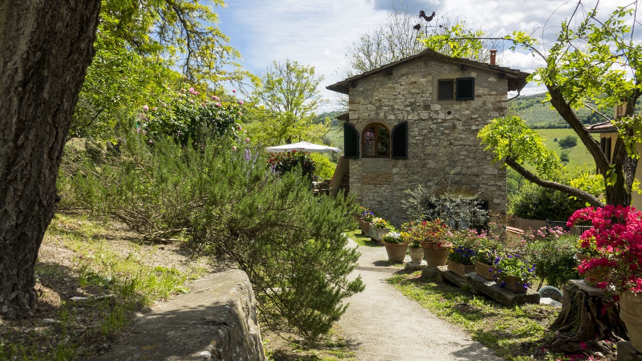 Photo of Outdoor in Twist