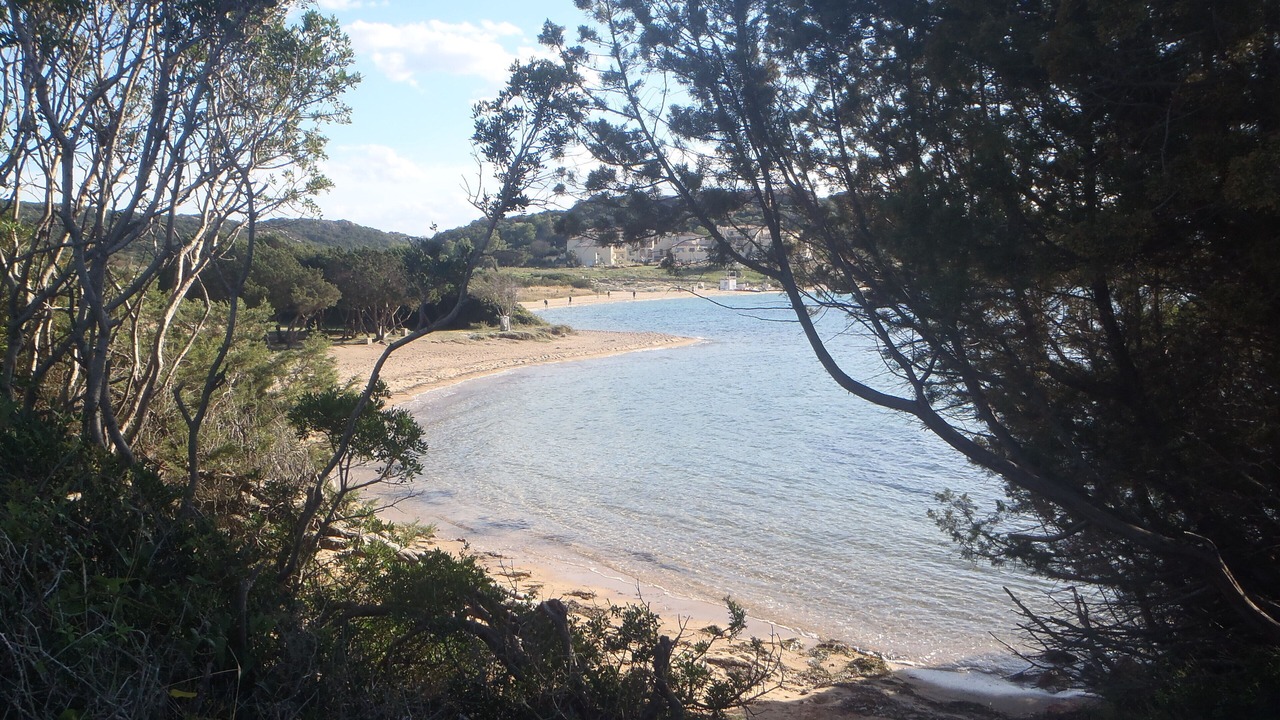 Photo of Others in Olbia