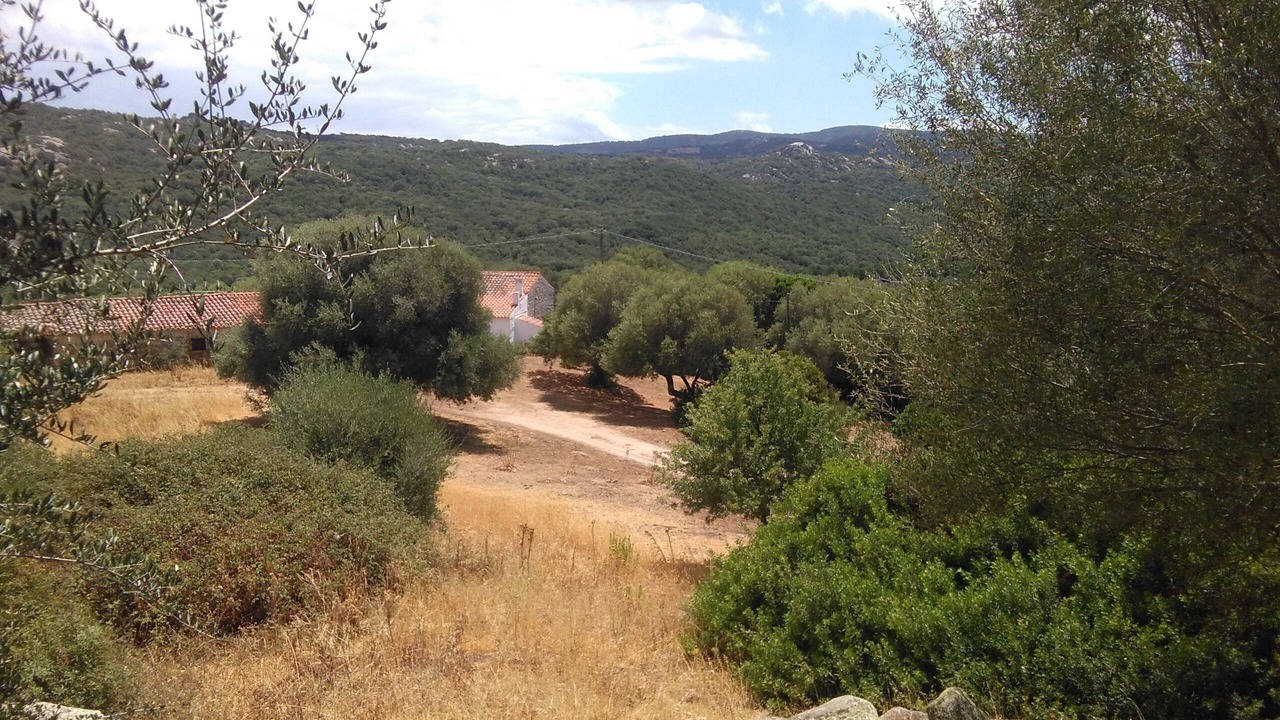Photo of Outdoor in Luogosanto