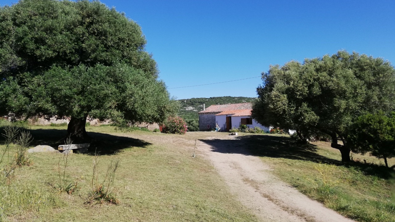 Photo of Outdoor in Luogosanto