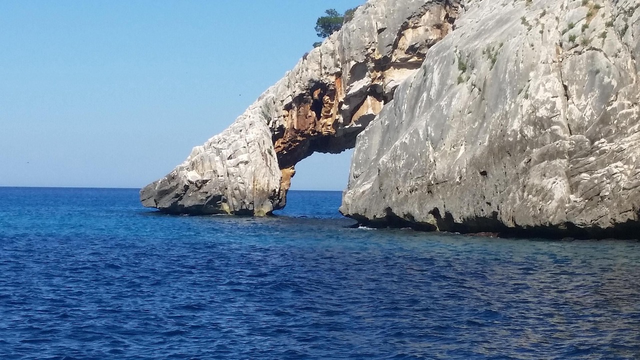Photo of Others in Tancau Sul Mare