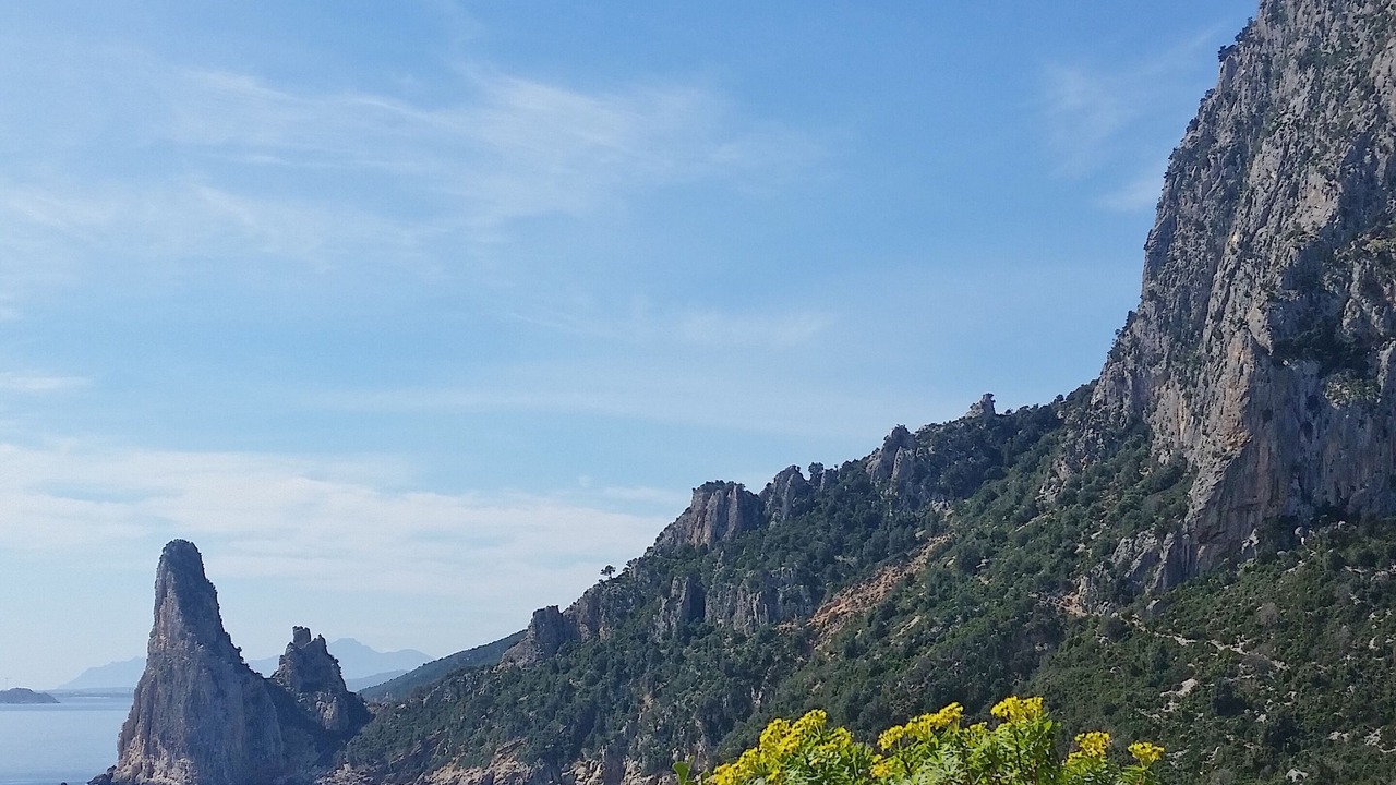 Photo of Others in Tancau Sul Mare