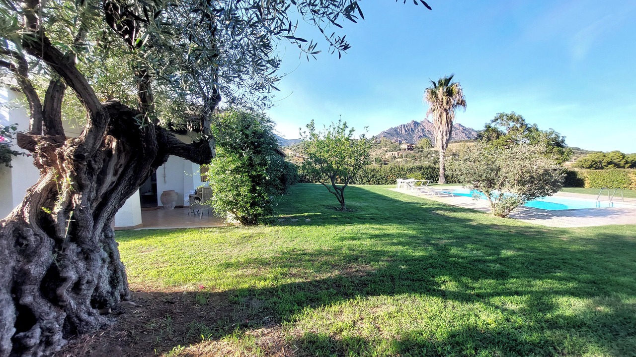 Photo of Outdoor in Tertenia