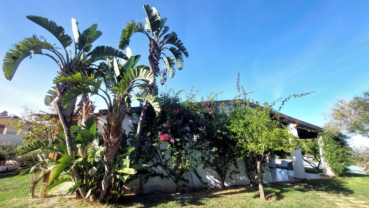 Photo of Outdoor in Tertenia