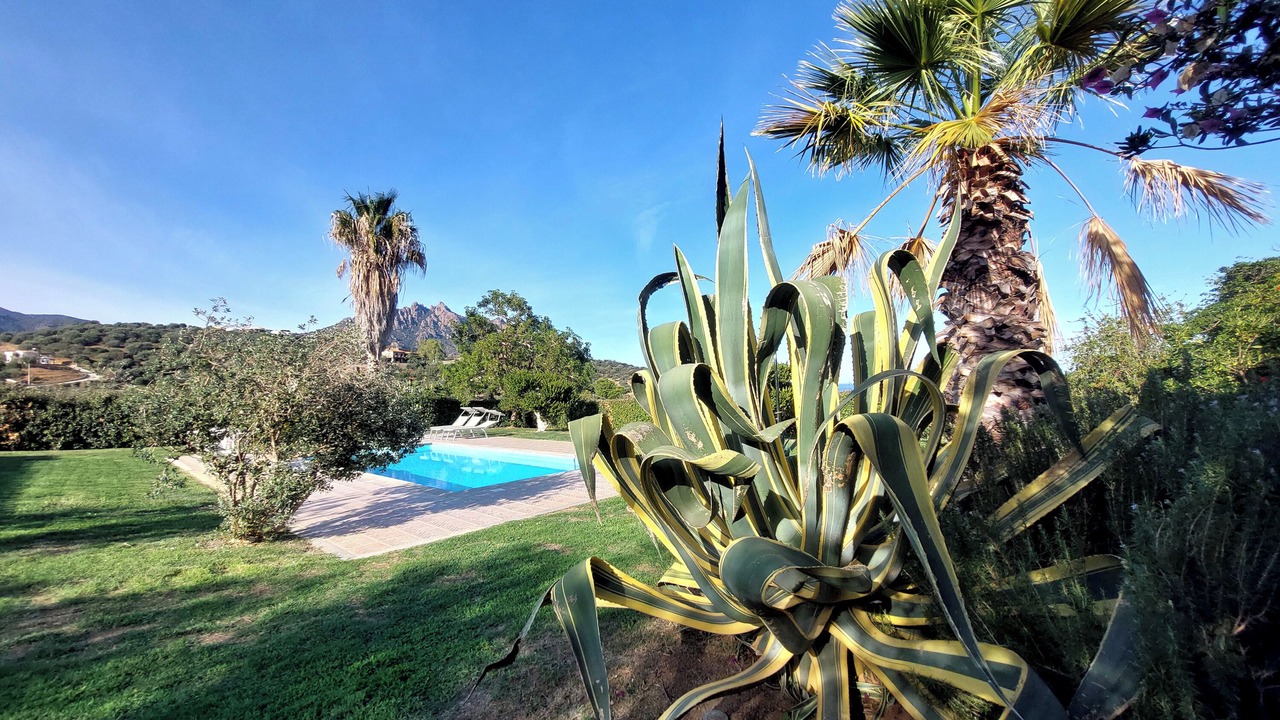 Photo of Outdoor in Tertenia