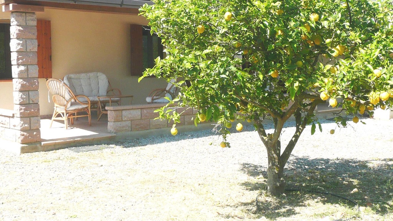 Photo of Patio Balcony in Castiadas