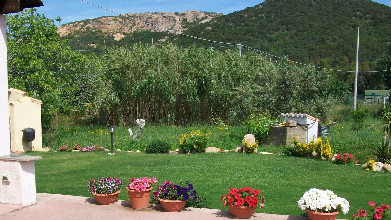 Photo of Outdoor in Chia