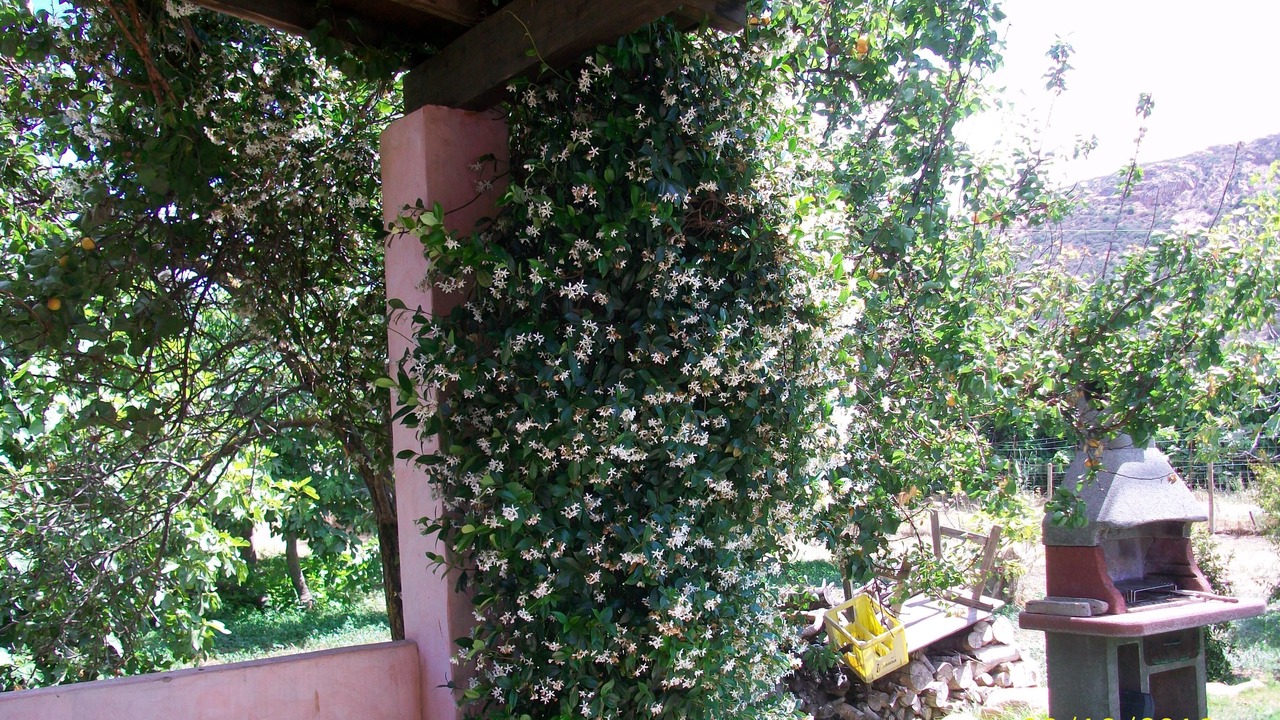 Photo of Outdoor in Chia