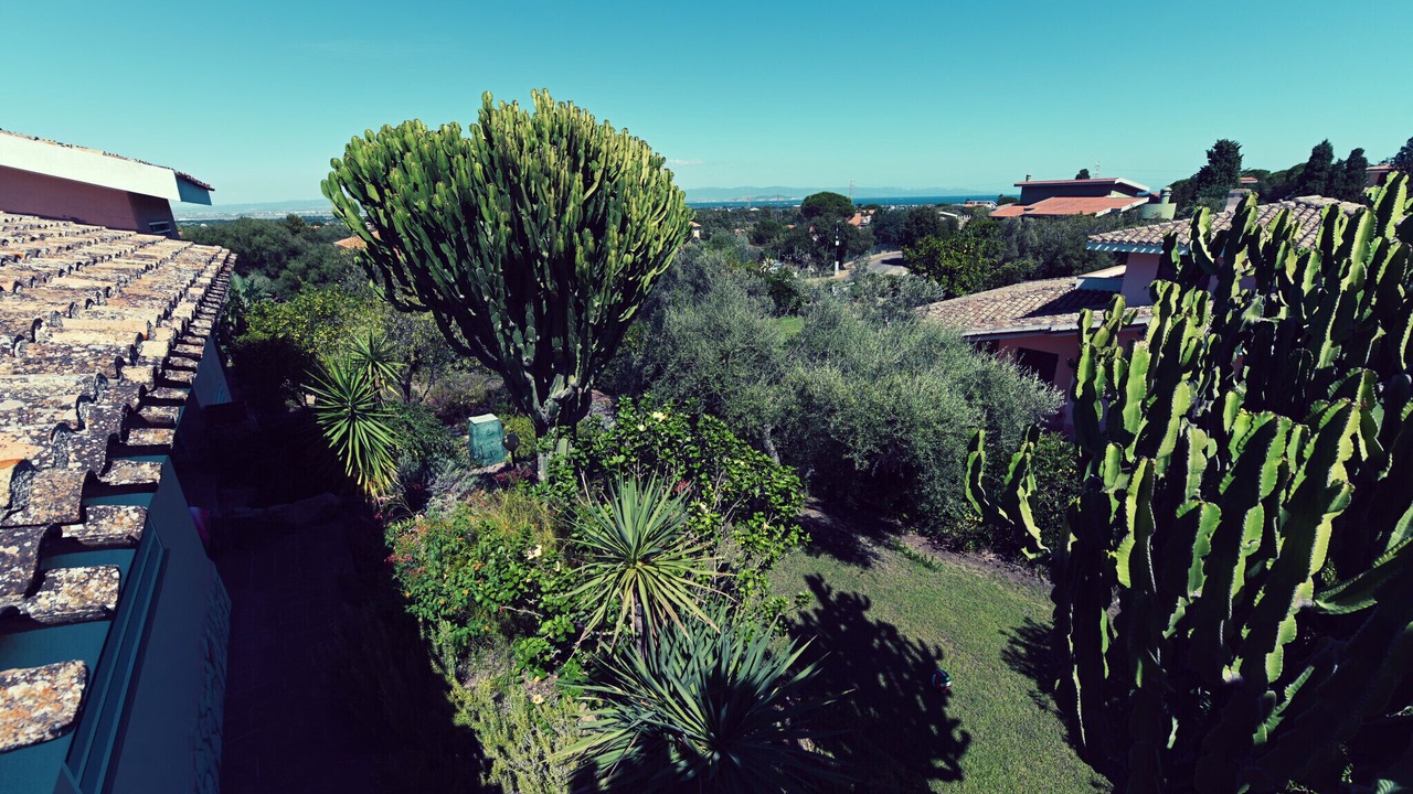 Photo of Others in Poggio dei Pini