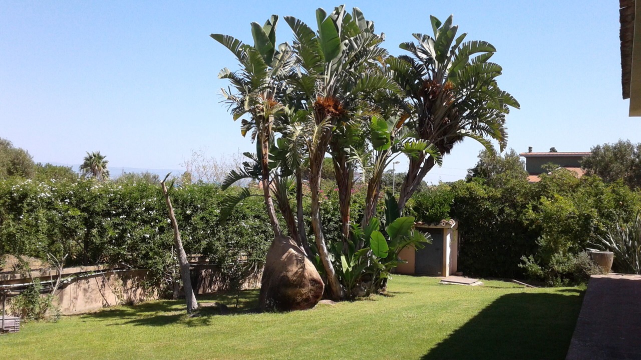 Photo of Outdoor in Poggio dei Pini