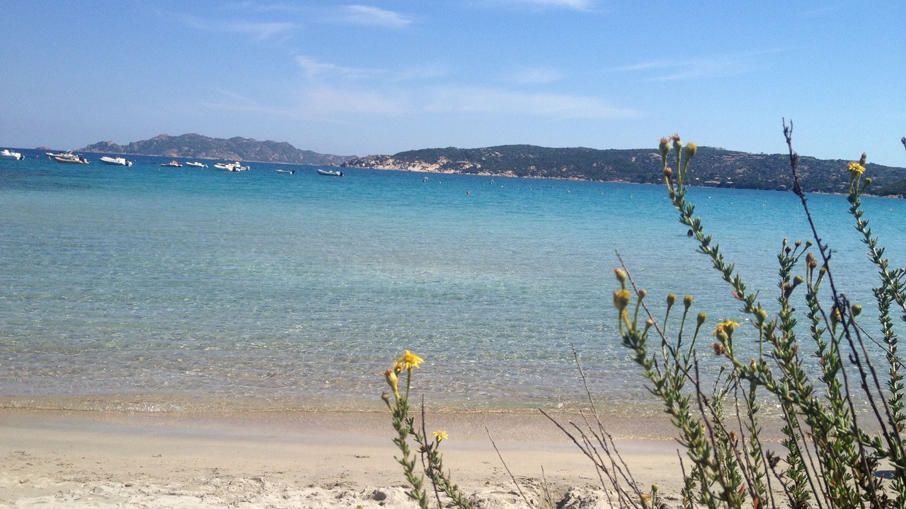 Photo of Others in San Teodoro