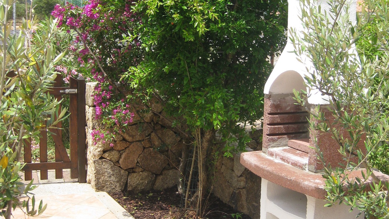 Photo of Outdoor in San Teodoro