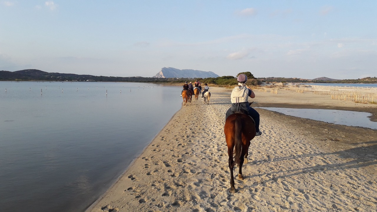 Photo of Others in San Teodoro