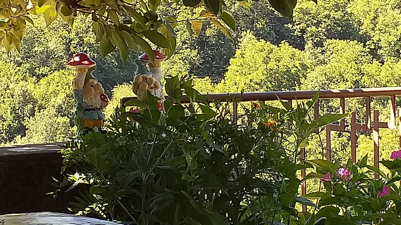 Photo of Outdoor in Aritzo