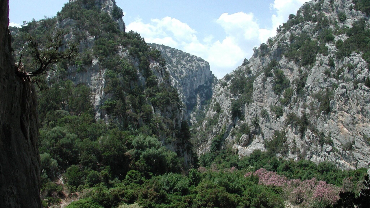 Photo of Outdoor in Cala Gonone