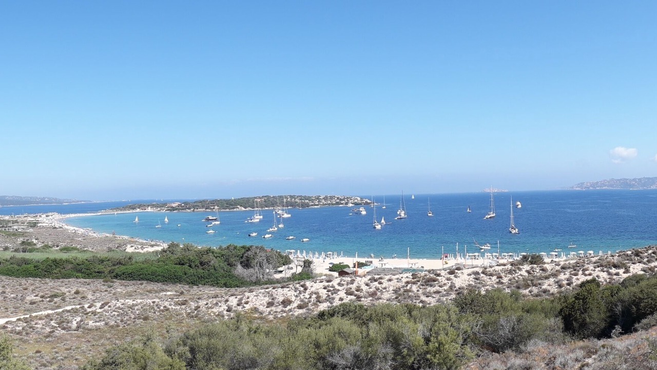 Photo of Others in Porto Pollo