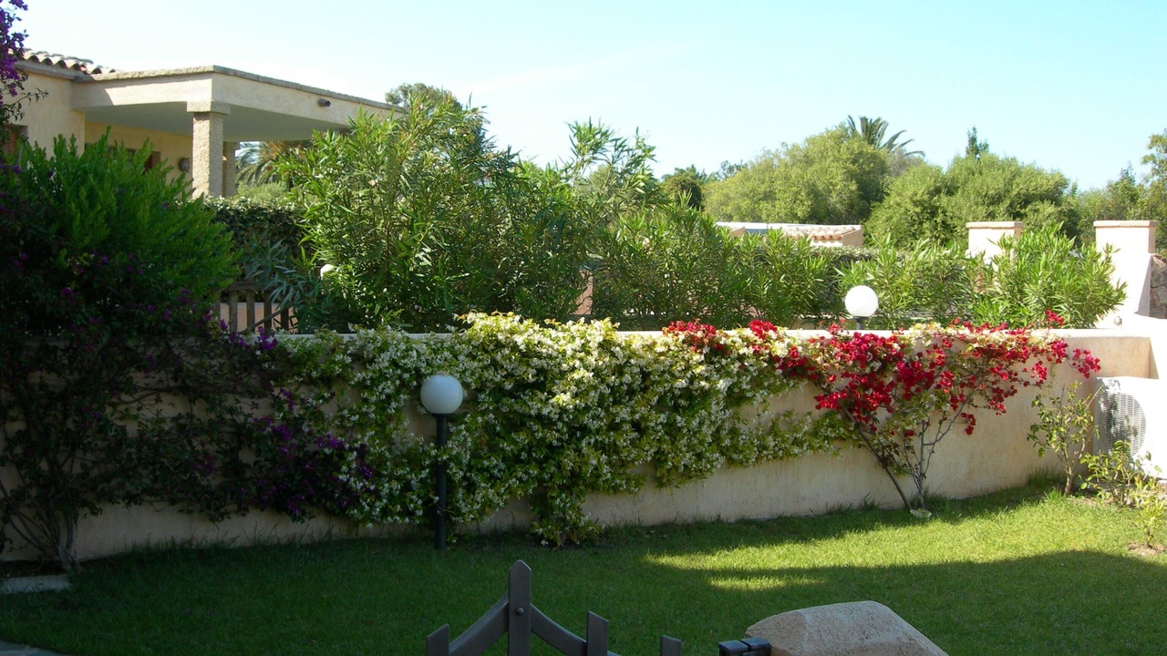 Photo of Outdoor in Pittulongu