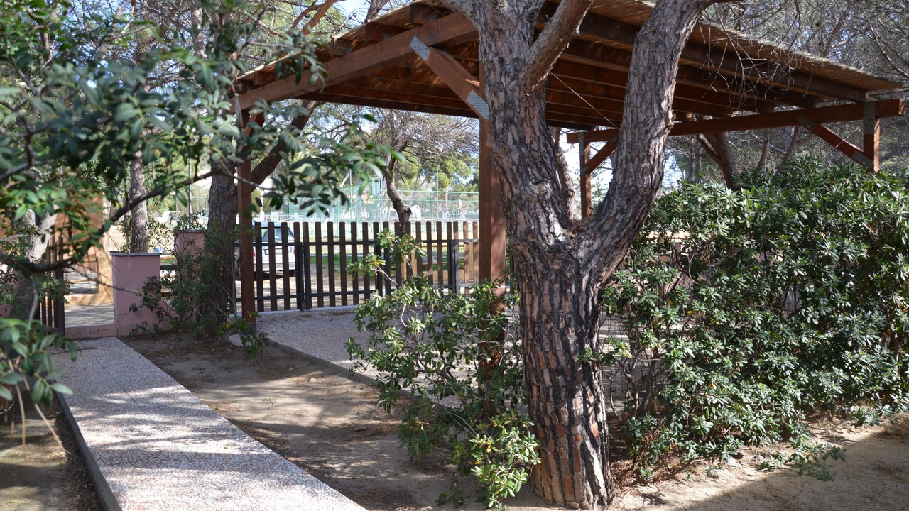 Photo of Outdoor in Campulongu