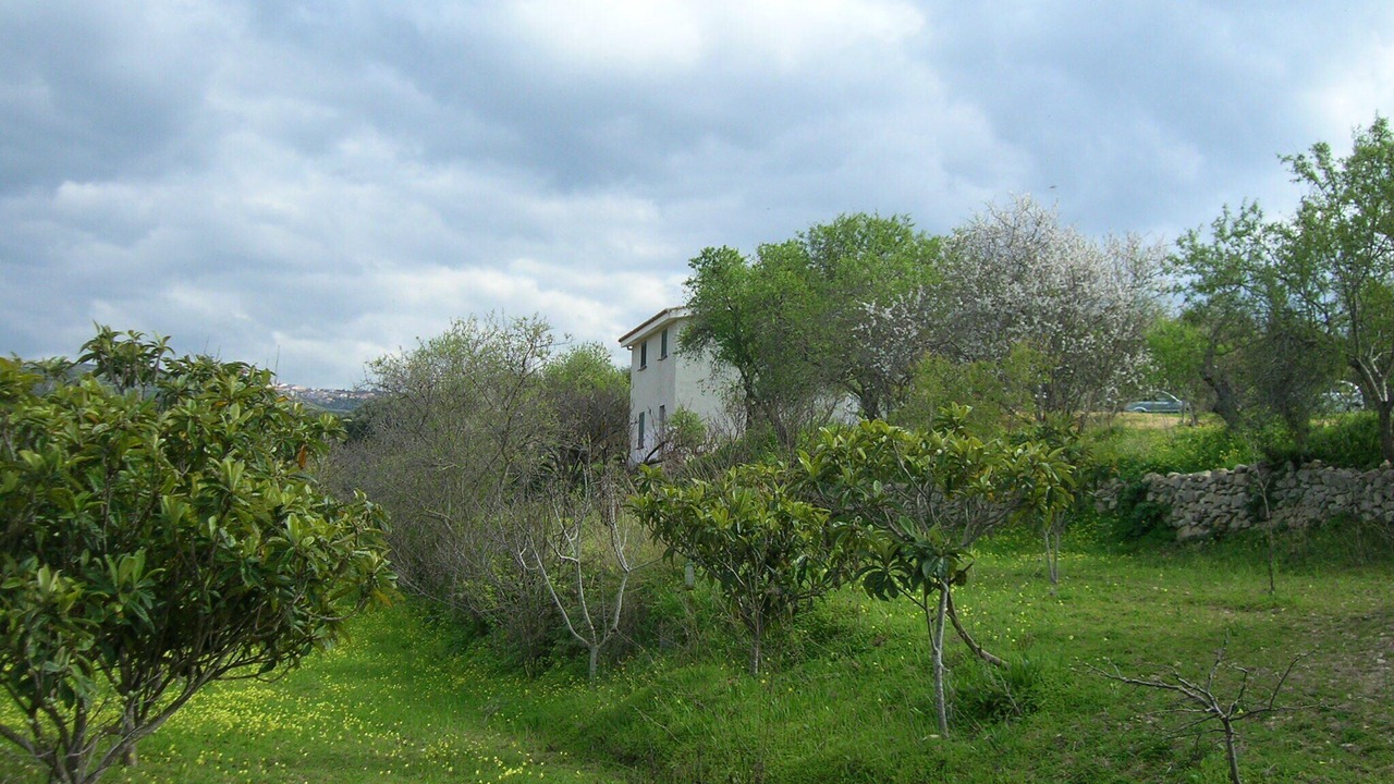 Photo of Outdoor in Sorso