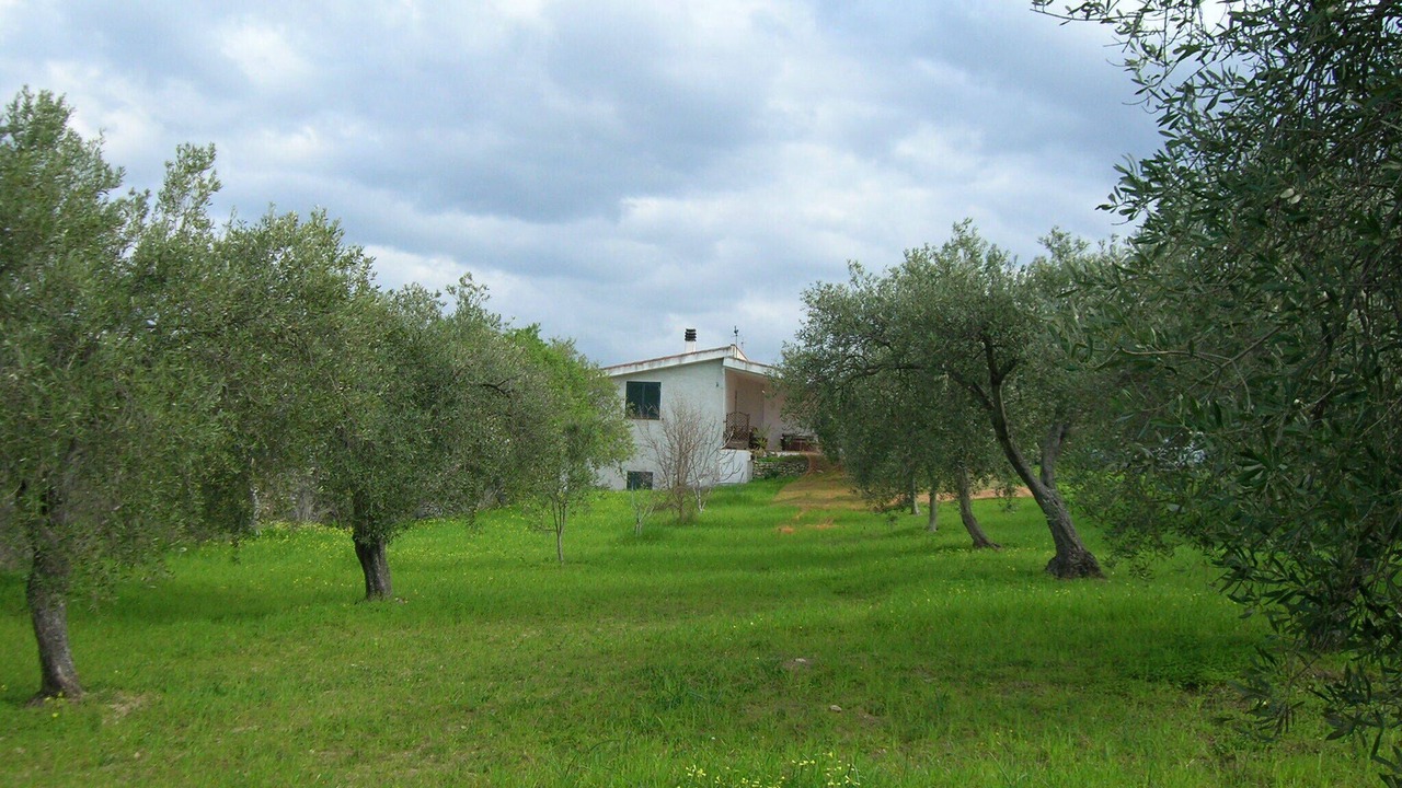 Photo of Outdoor in Sorso