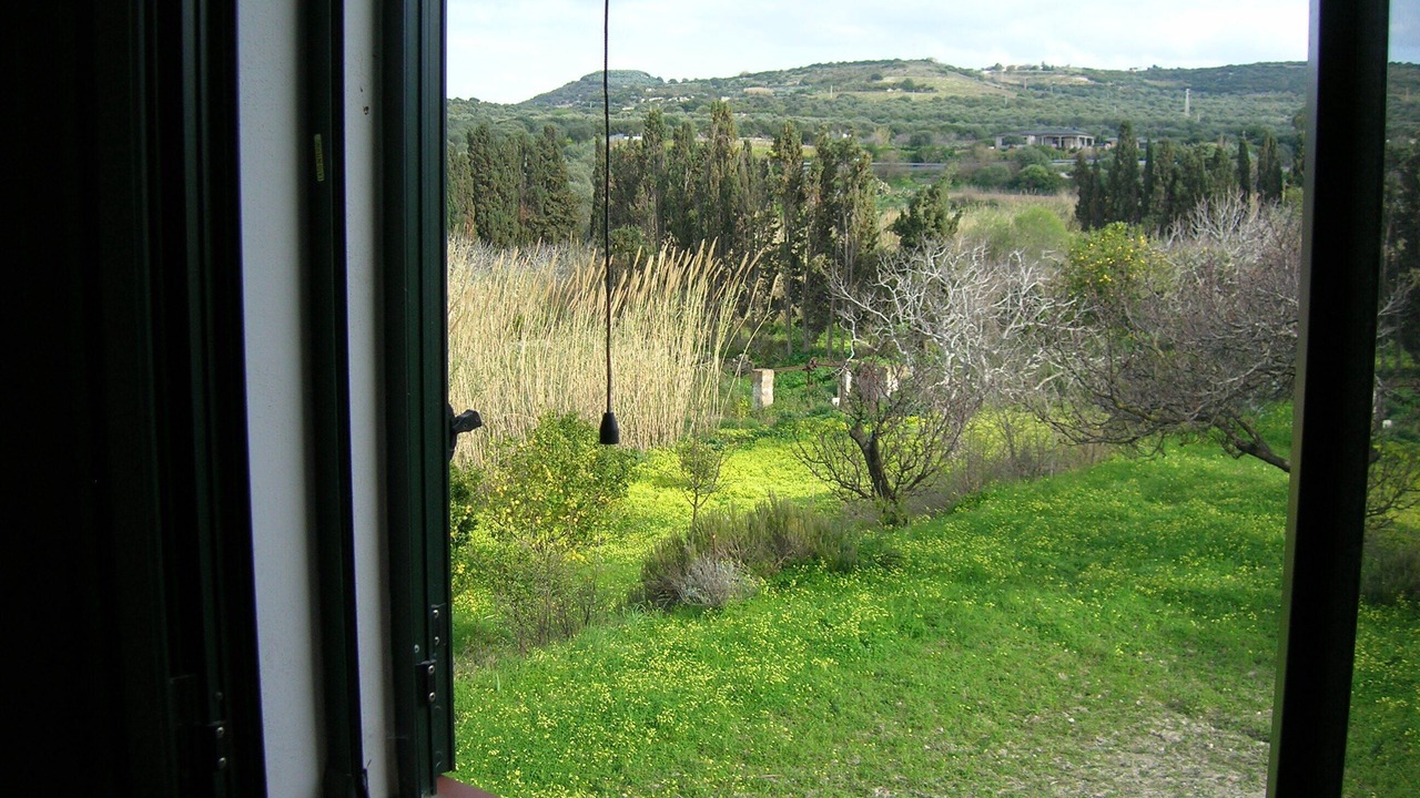 Photo of Others in Sorso