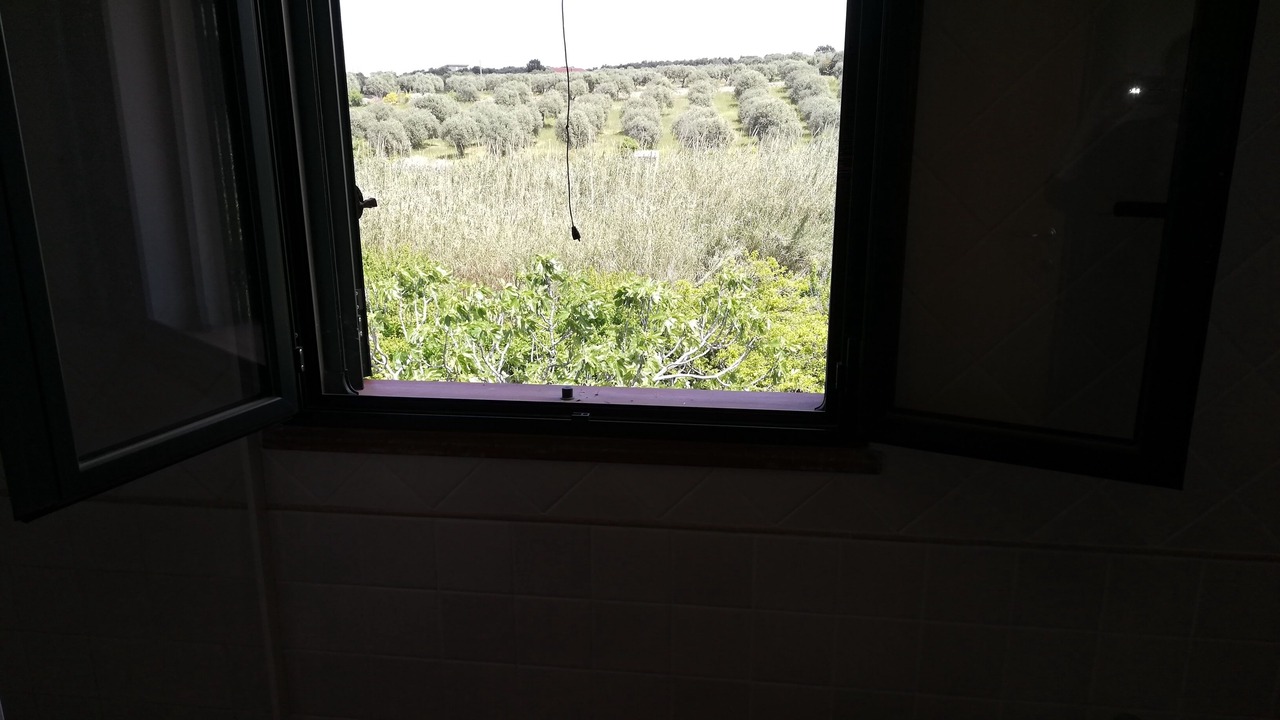 Photo of Bathroom in Sorso