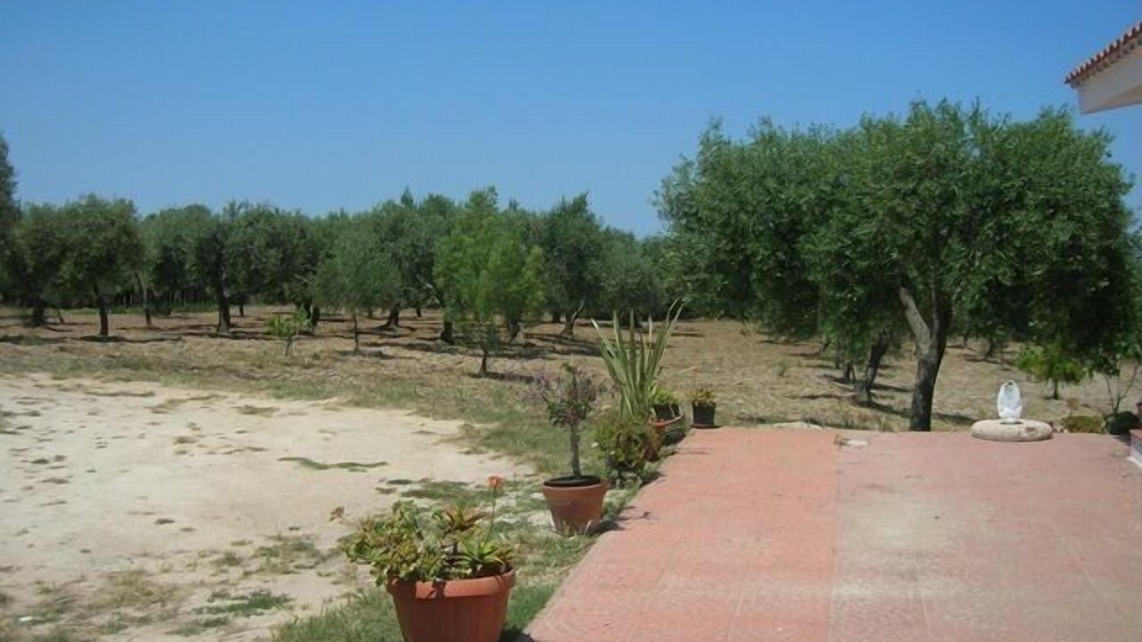 Photo of Outdoor in Sorso